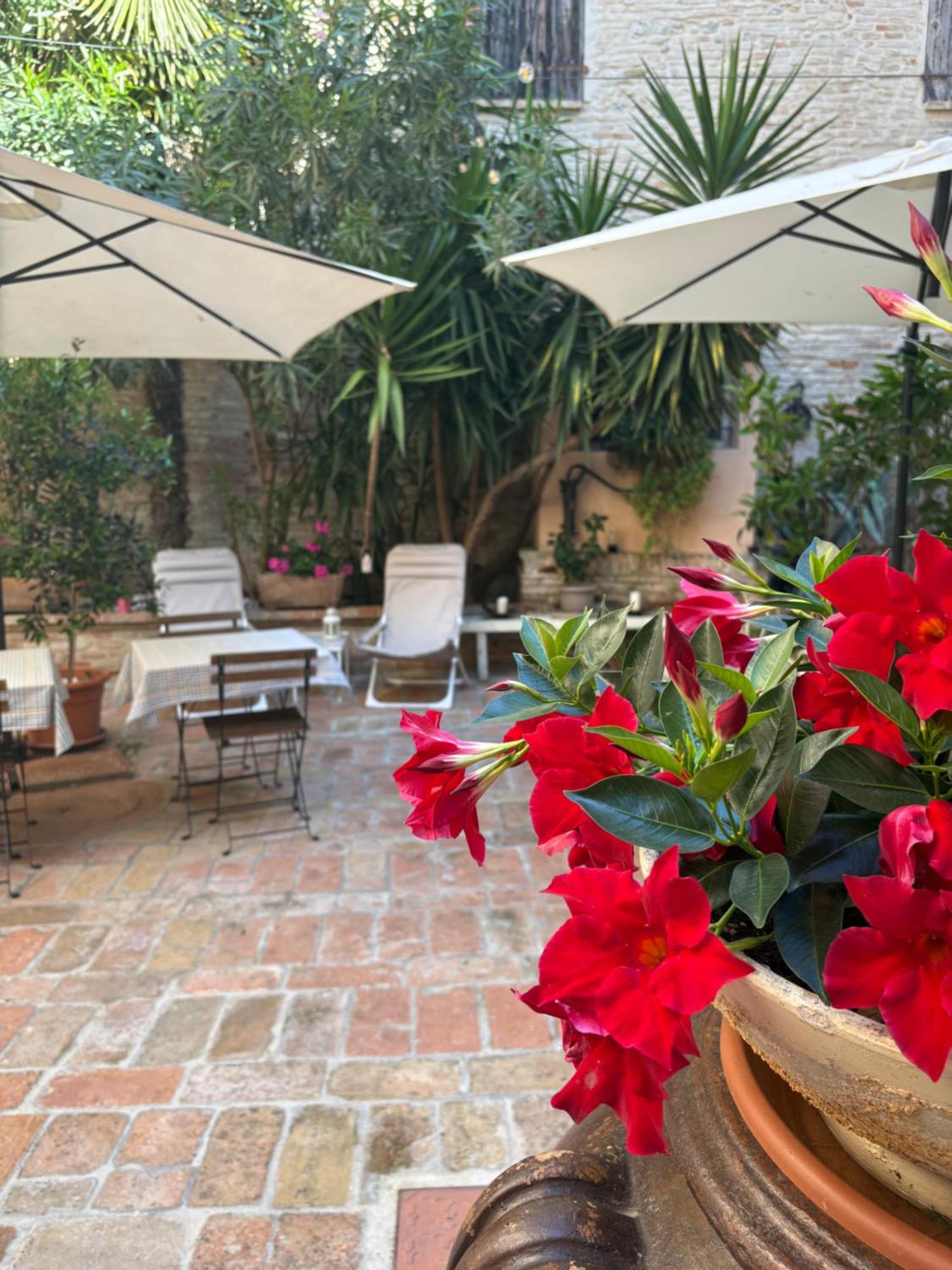 Relais B&B Corte Dei Turchi Longiano Zewnętrze zdjęcie